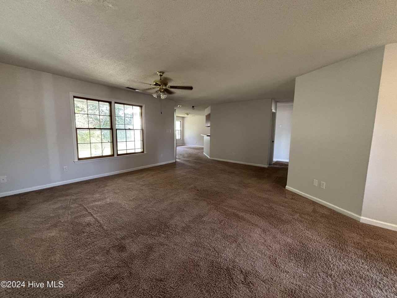 115 Honey Tree Ct - Photo 2 of 17