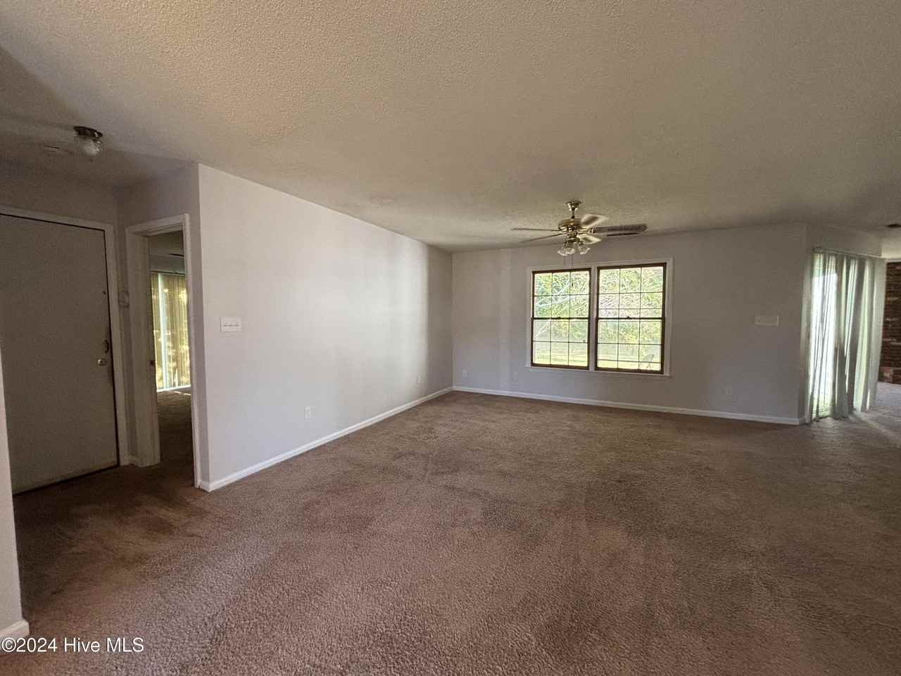 115 Honey Tree Ct - Photo 3 of 17