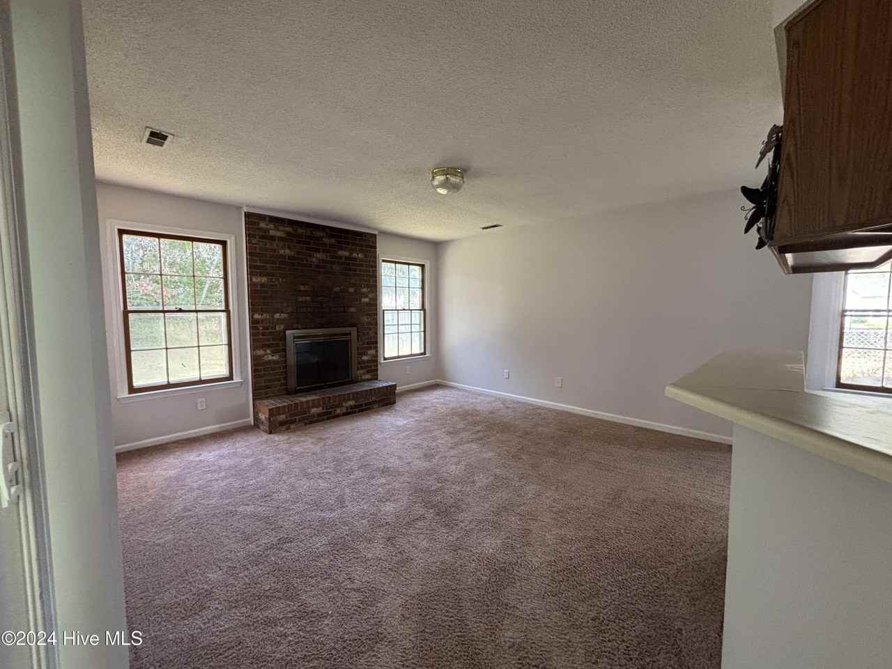 115 Honey Tree Ct - Photo 5 of 17