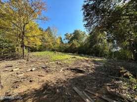 4021 Island Home Pike - Photo 1 of 1