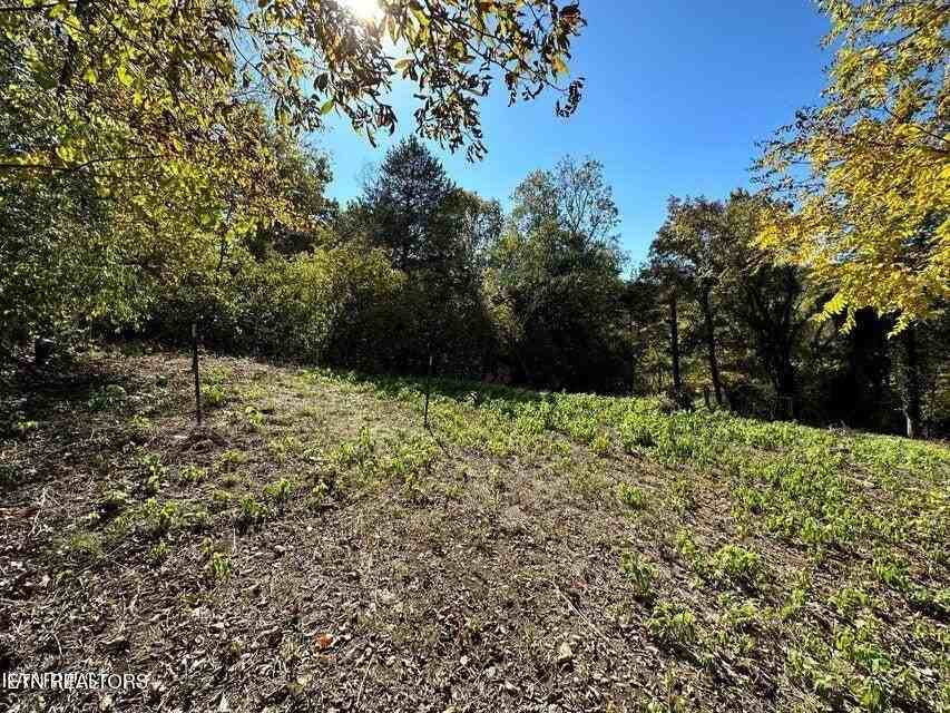 4021 Island Home Pike - Photo 3 of 10