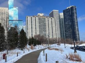 400 E Randolph St Apt 3201 #3201 - Photo 1 of 1