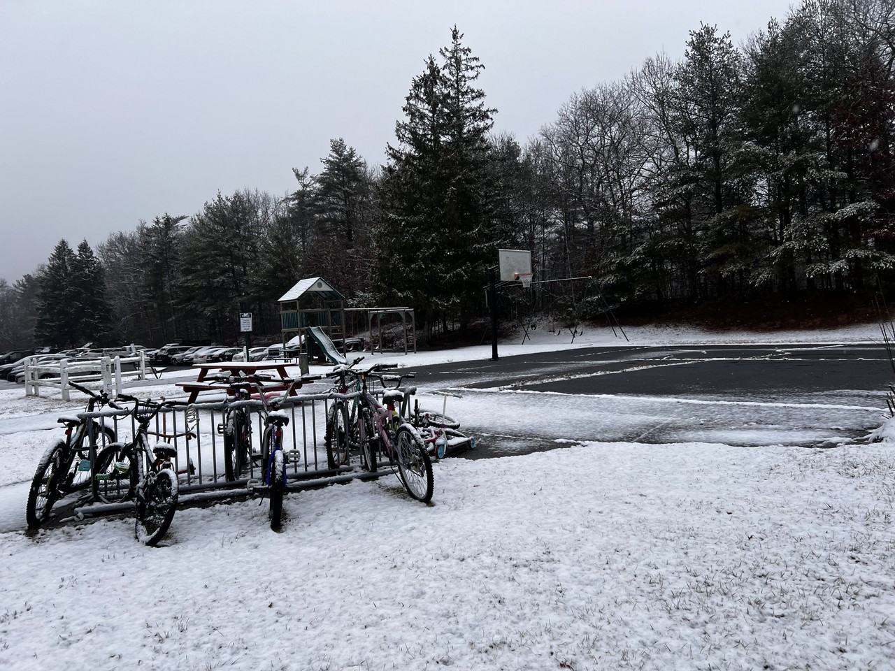 2108 Phillips Rd Apt 47 - Photo 4 of 5