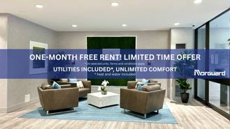 The Elmwoods - Photo 1 of 1