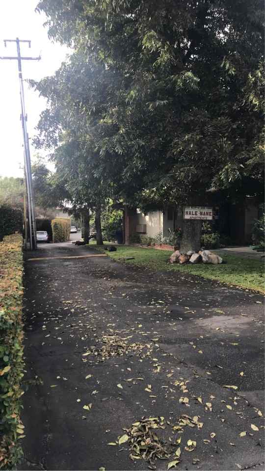 Hale Nane - Photo 4 of 10