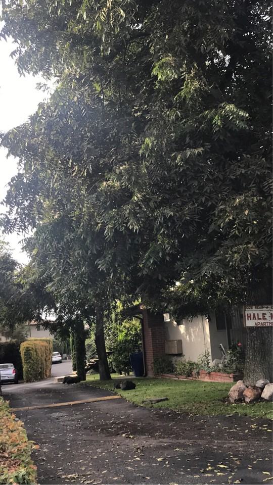 Hale Nane - Photo 6 of 10