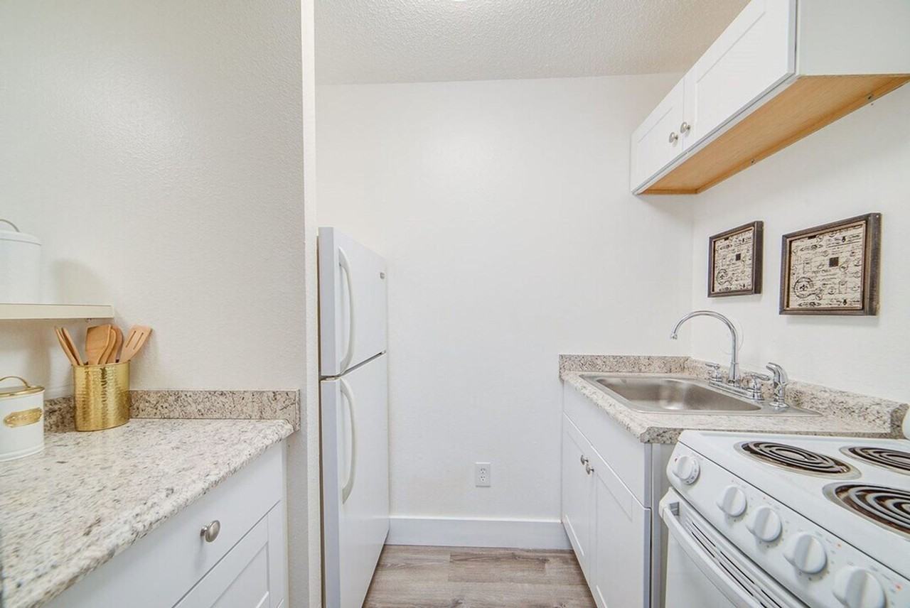 Magnolia Park - Photo 3 of 38