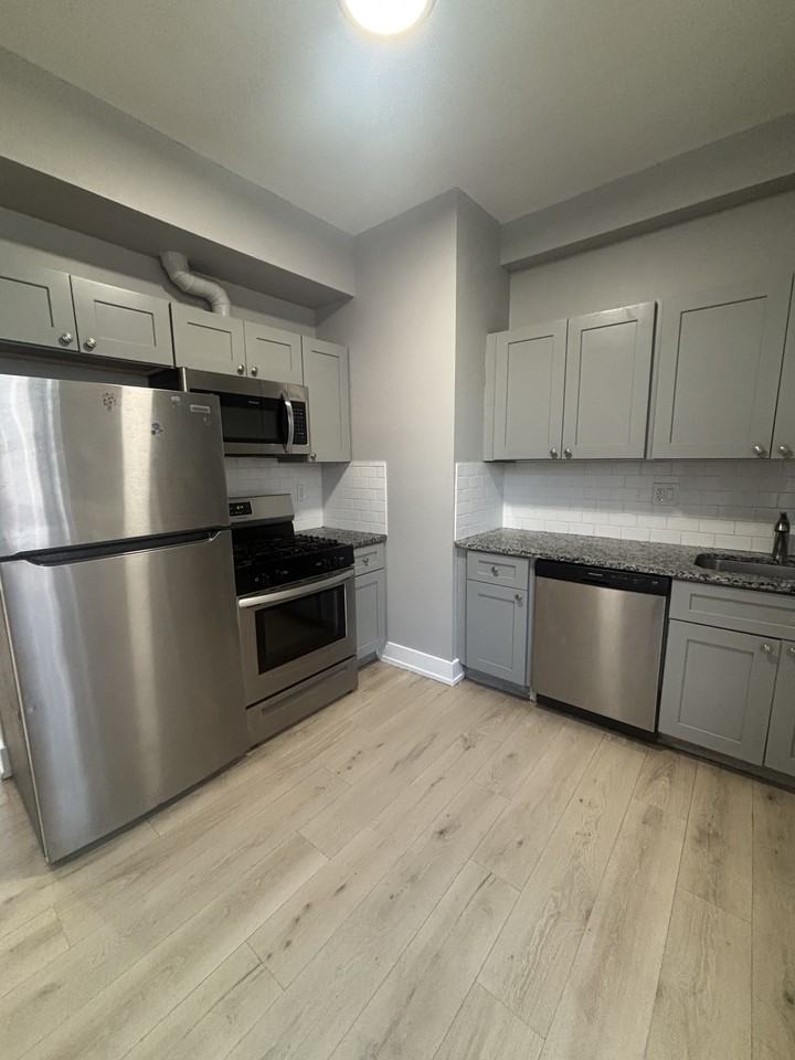 3848 W Hirsch st - Photo 2 of 26