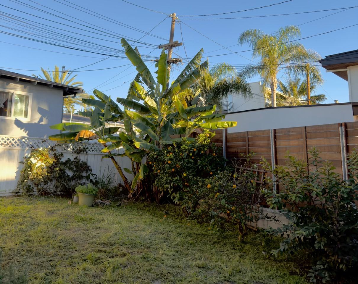 733 Beryl St #1-2 - Photo 3 of 18