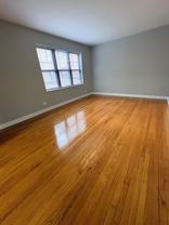 Washington Pine - Photo 1 of 1