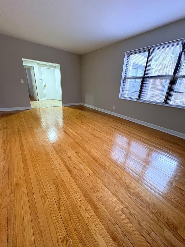 Washington Pine - Photo 2 of 26