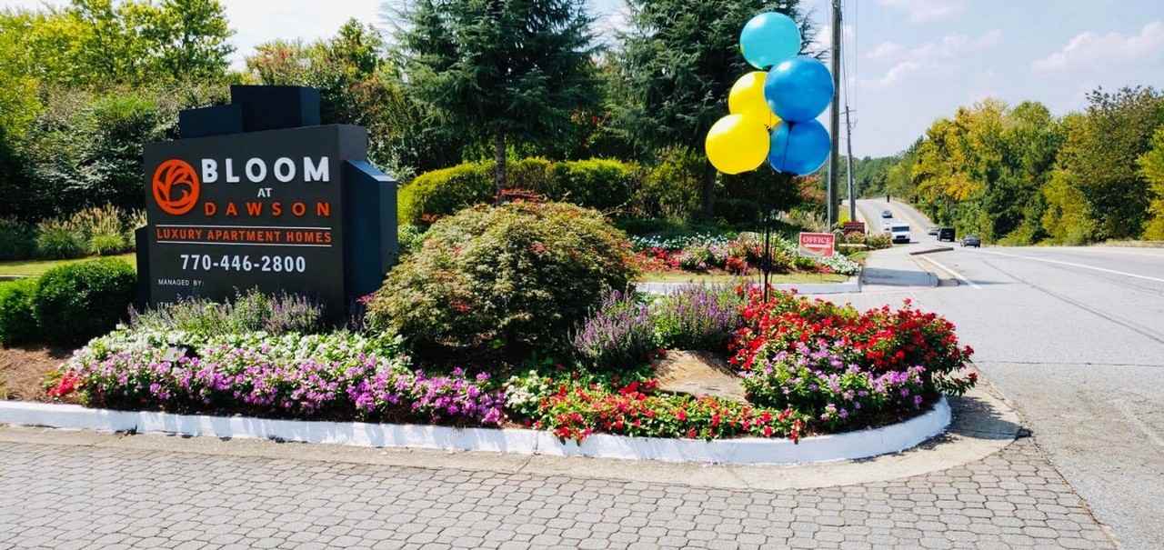 Bloom at Dawson - Photo 7 of 50