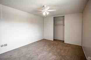 Peppertree - Photo 1 of 1