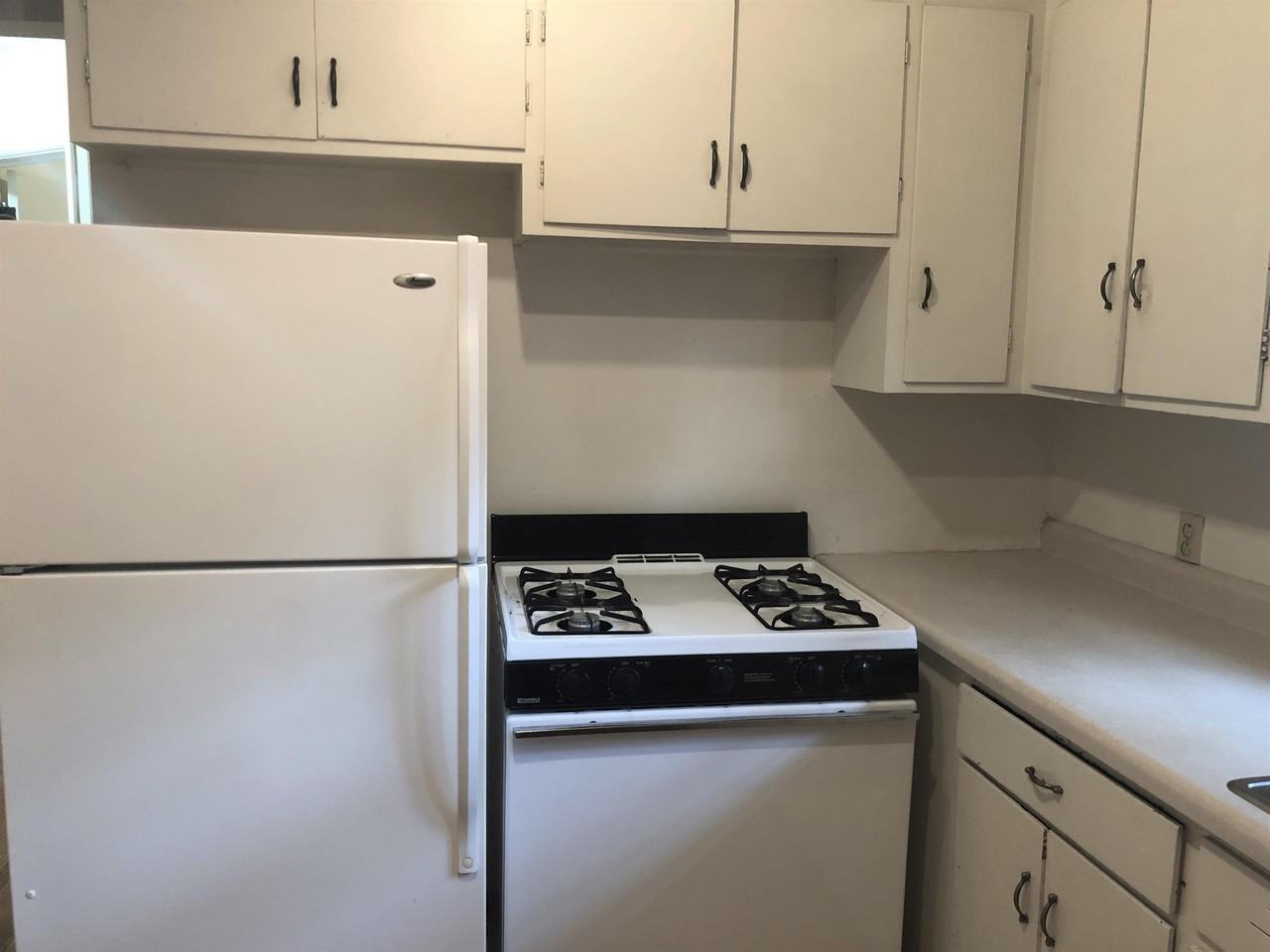 409 Palomino Ln Apt 1n - Photo 3 of 16