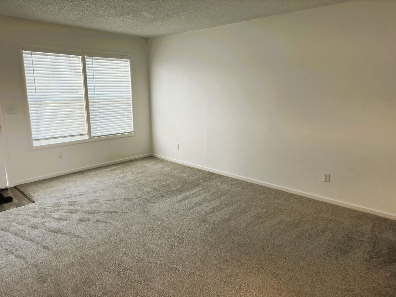 317 Nw 8th Ave - Photo 5 of 6