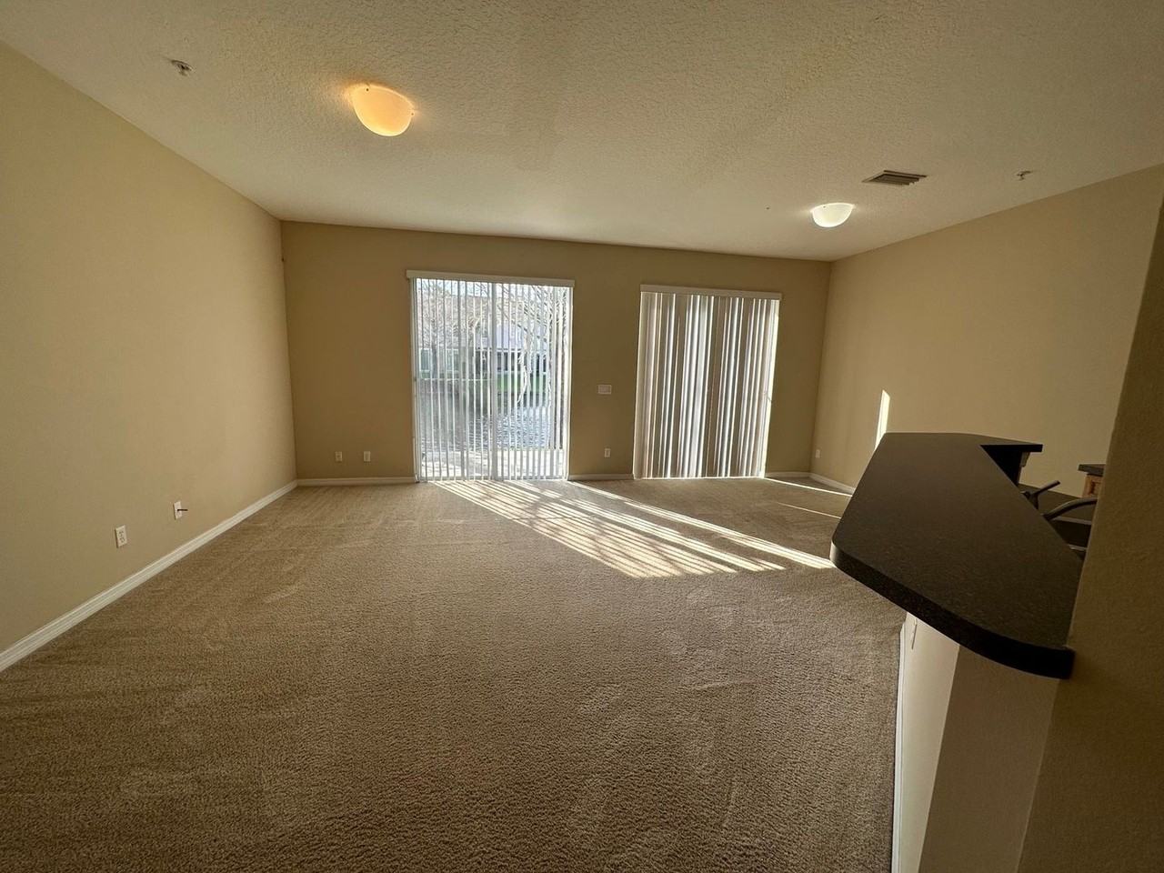 629 Pinebranch Cir - Photo 6 of 23