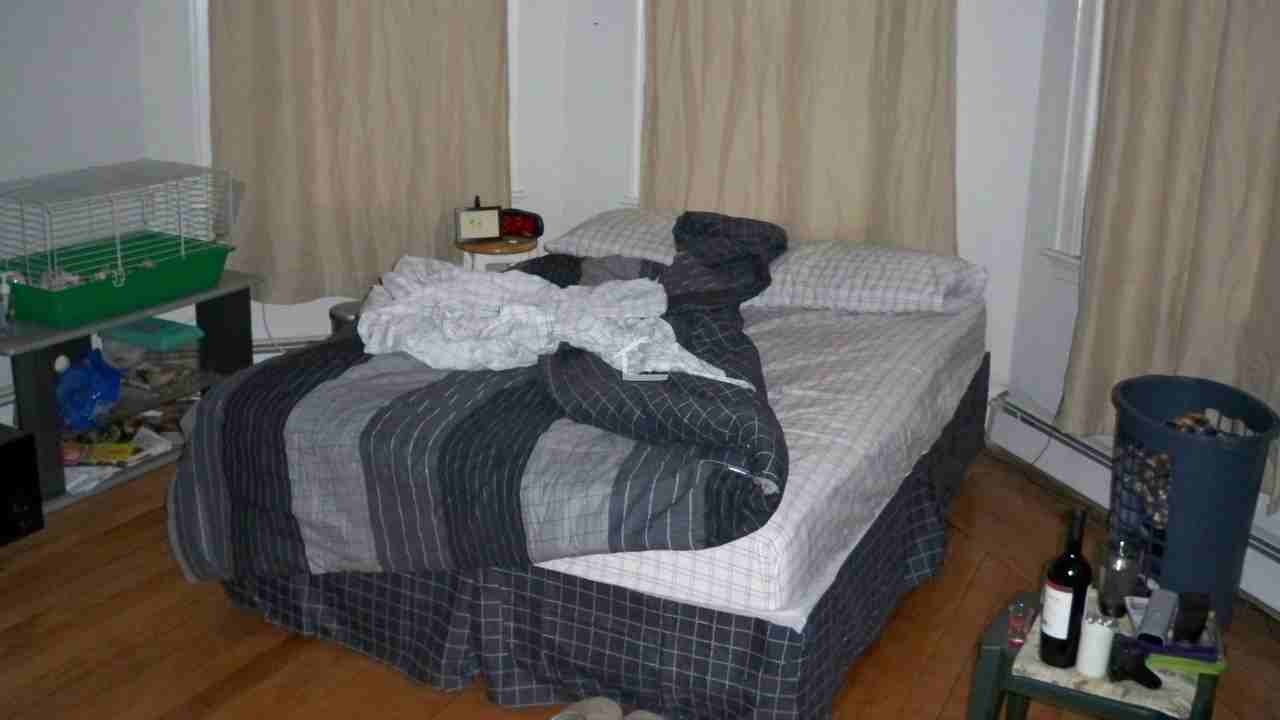 1426B Commonwealth Ave - Photo 6 of 8