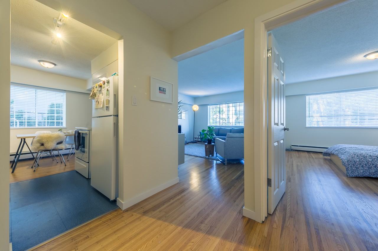 Triumph - Photo 5 of 18