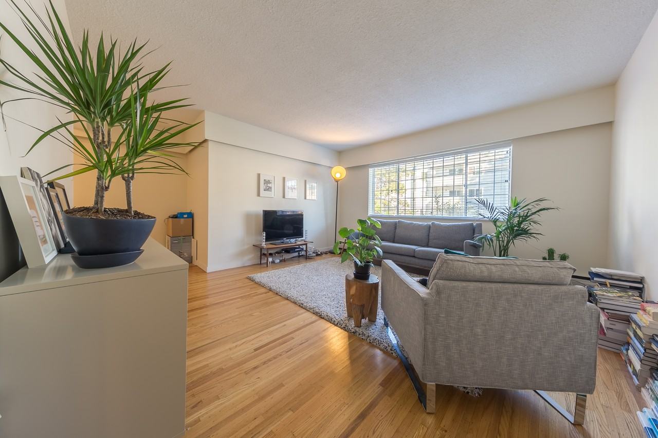 Triumph - Photo 6 of 18