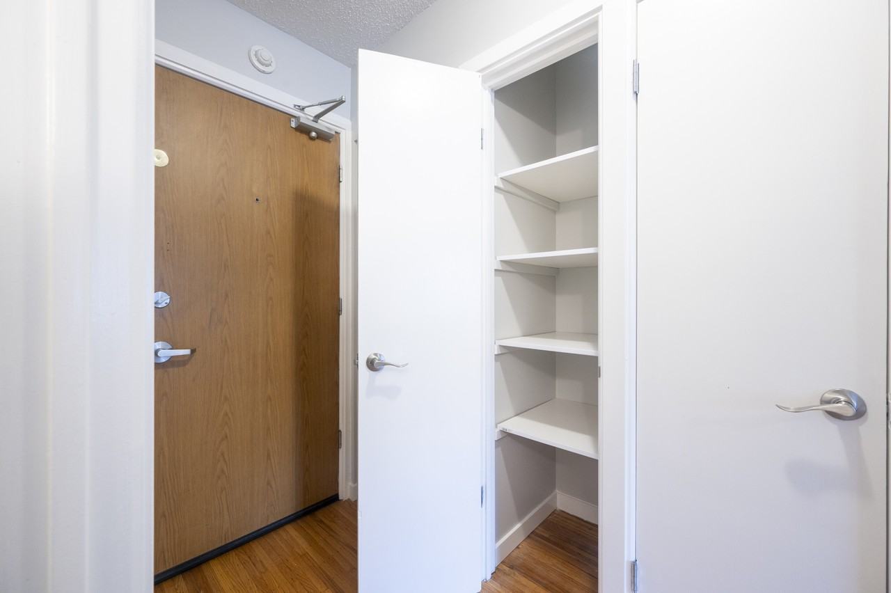 Triumph - Photo 7 of 18