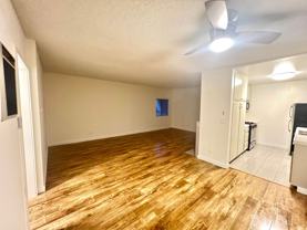 can334 - Photo 1 of 1