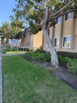 Large 2 bedroom Apartment in Clairemont - Photo 1 of 1
