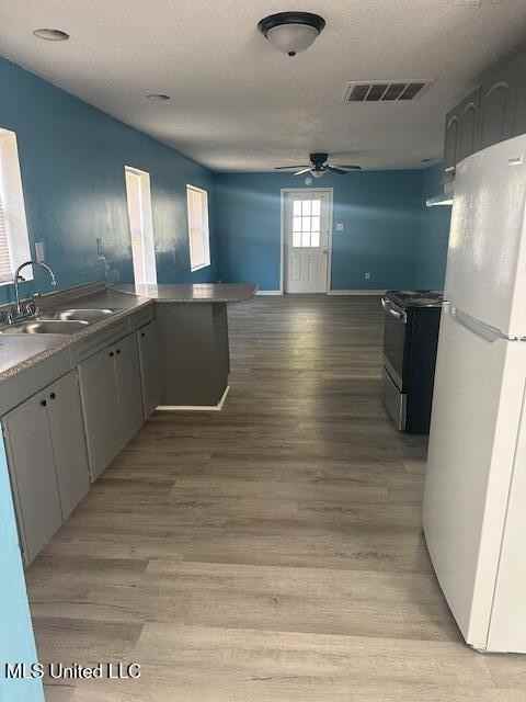 1409 Roosevelt St - Photo 2 of 13