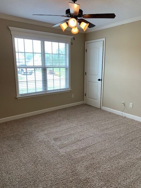 3989 Nelson Hill Pl - Photo 6 of 9