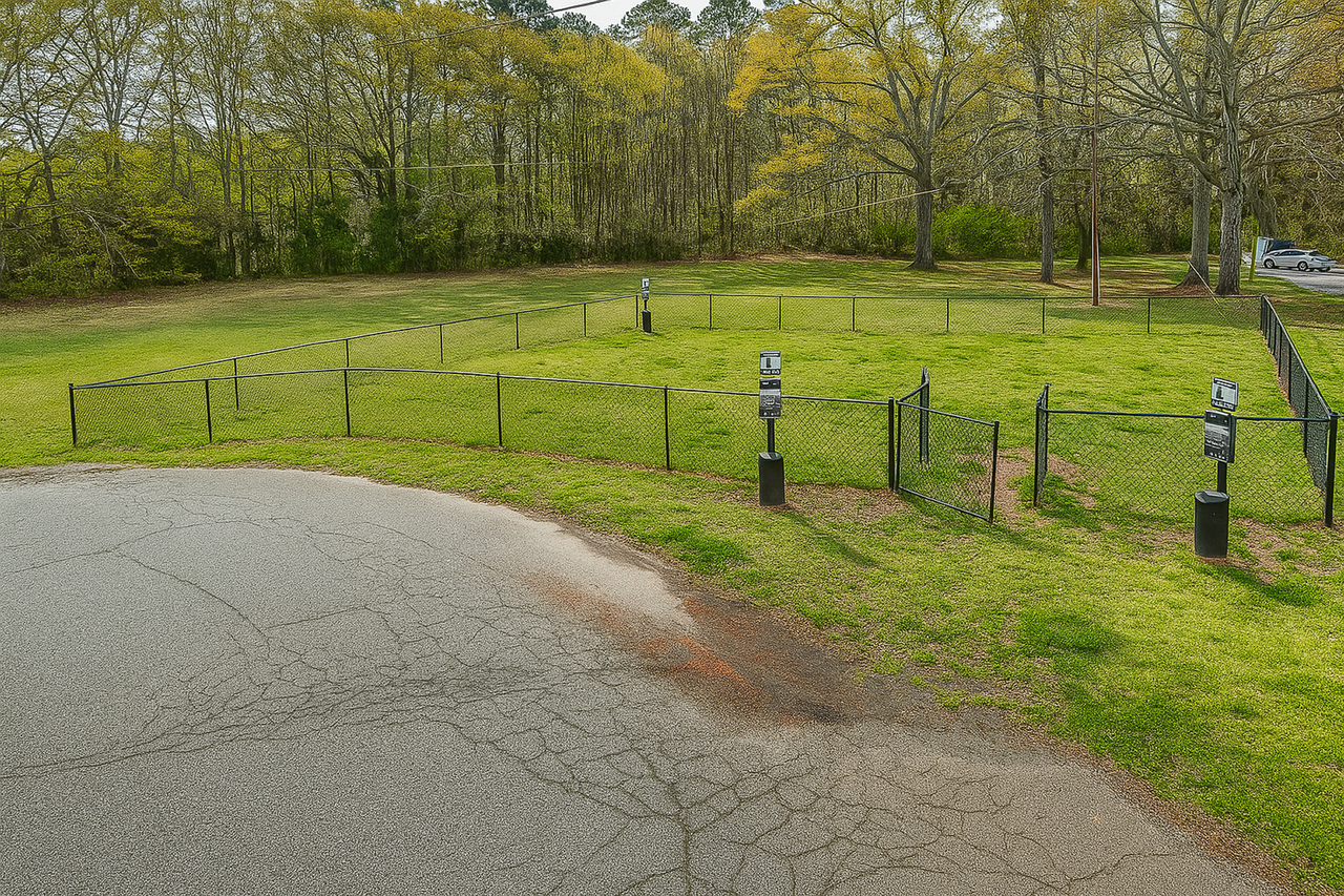 100 Regency at Clemson - Photo 6 of 29