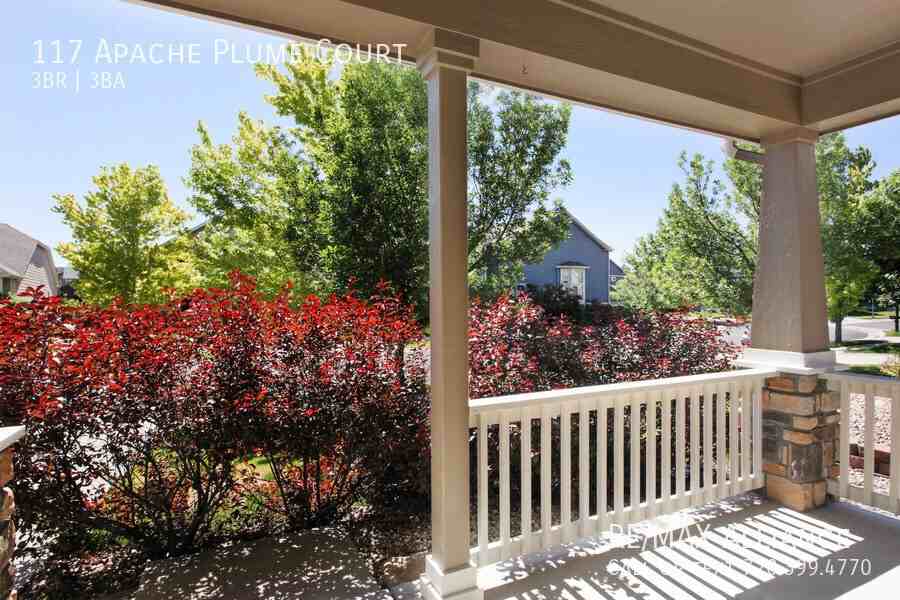 117 Apache Plume Ct - Photo 4 of 29