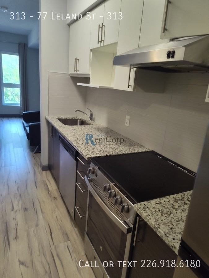 77 The 77 #313 - Photo 3 of 6