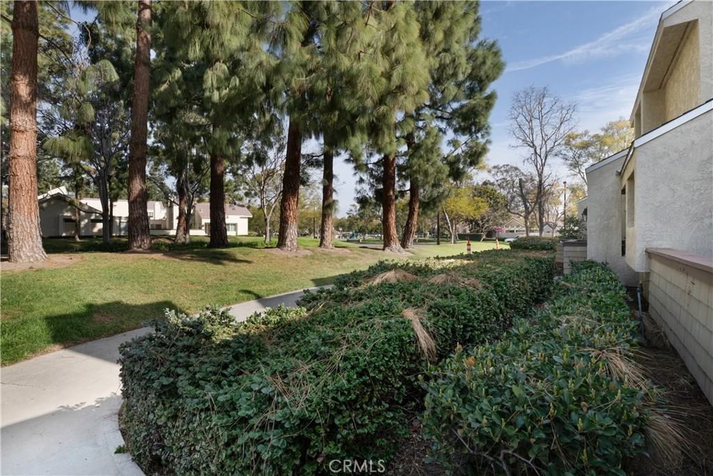 57 Claret #57 - Photo 5 of 34