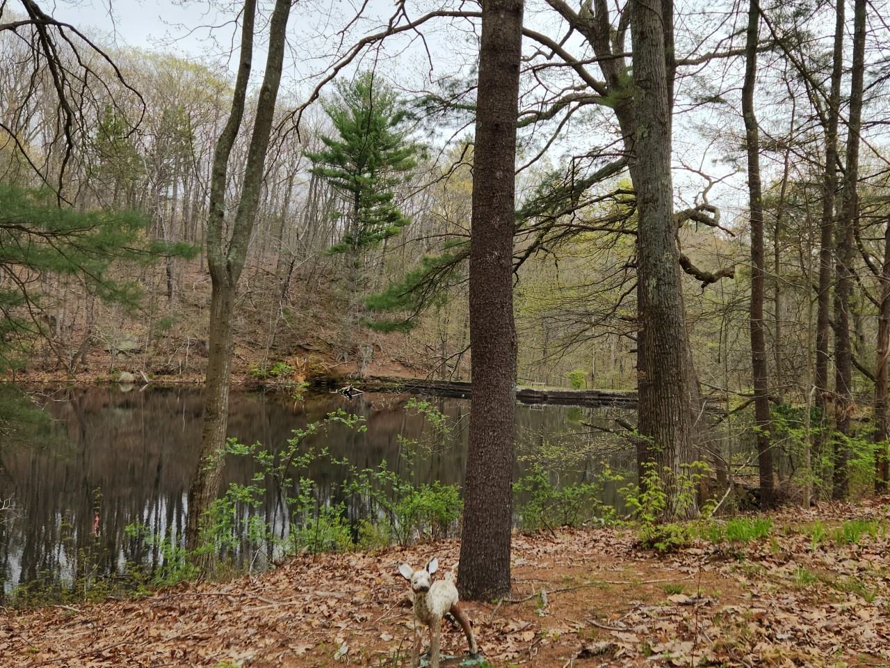 480 Maupas Rd #5 - Photo 3 of 19