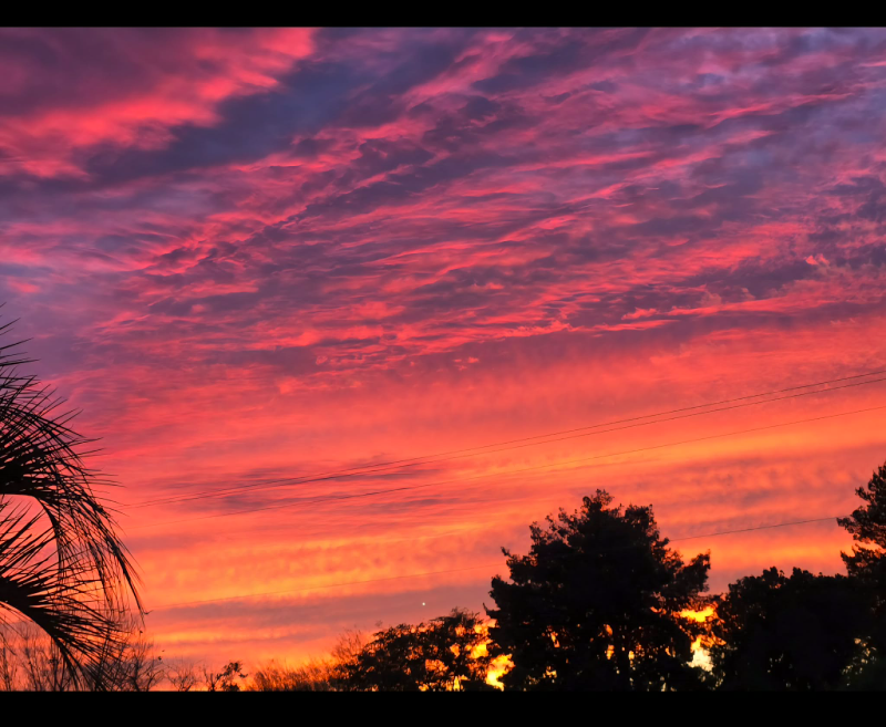 278 E Sagebrush St - Photo 6 of 20