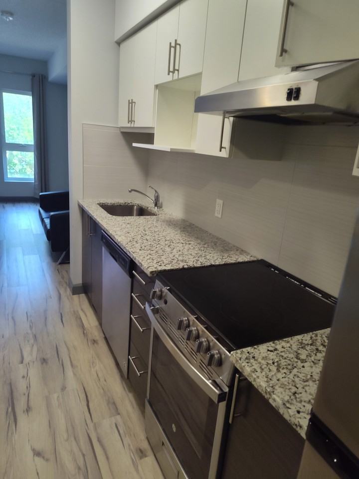 77 The 77 #313 - Photo 3 of 6