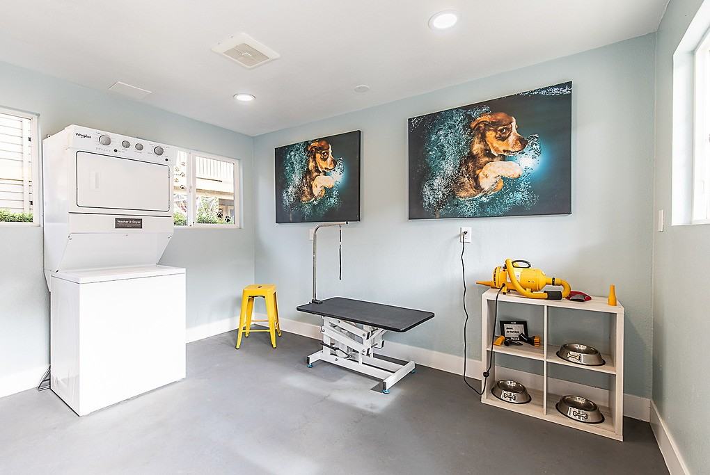 The Commons - Photo 7 of 50