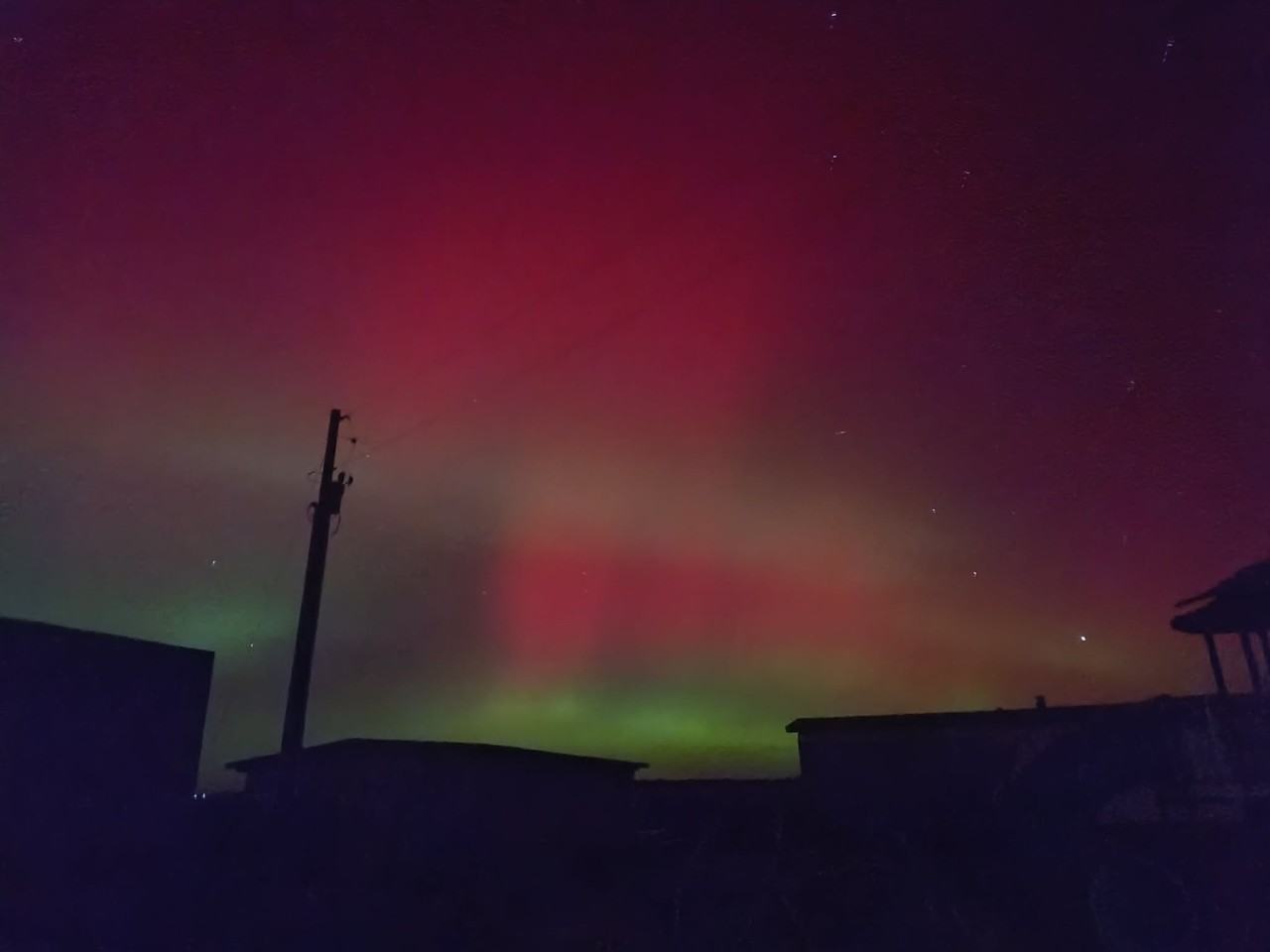 26220 Big Springs Rd #1 - Photo 3 of 3