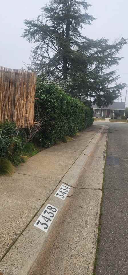 3438 Marjorie Way #NA - Photo 3 of 29