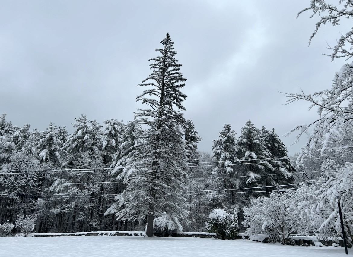 1 Noyes Rd #NA - Photo 2 of 50