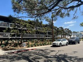 Sea Terrace - Photo 1 of 1