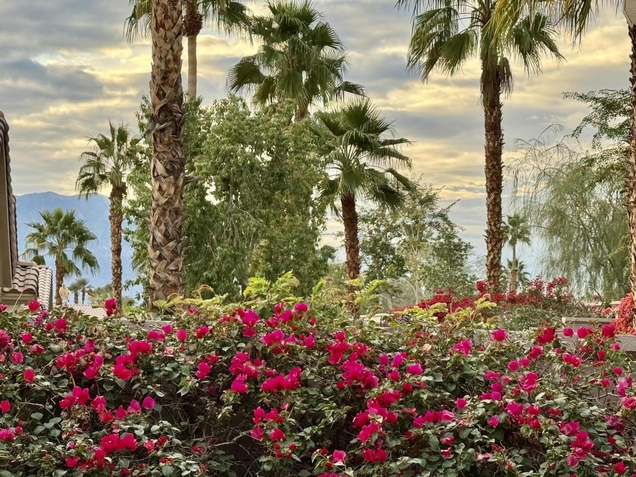 78686 Hampshire Ave - Photo 3 of 22