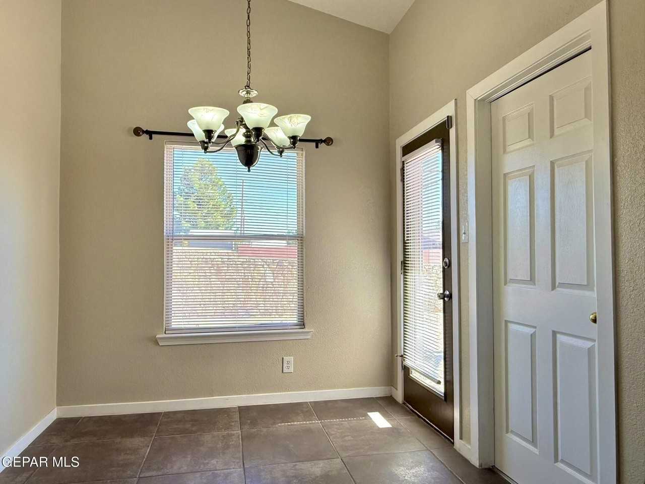 1217 Iguana Pl - Photo 7 of 32