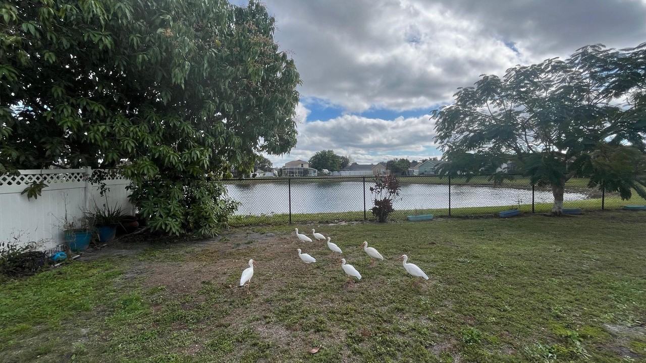 Day Lily Ct - Photo 5 of 7