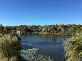 featured image of 905 Oakridge Cmns