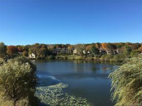 905 Oakridge Cmns - Photo 1 of 1