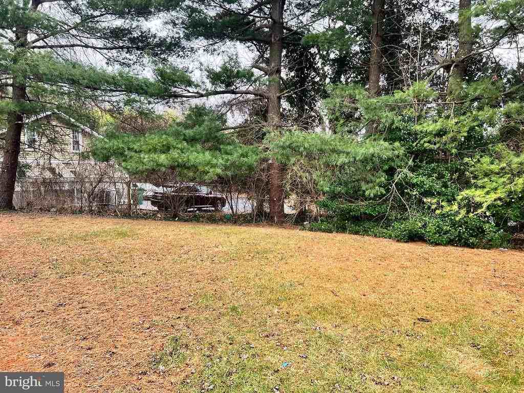 737 Timber Ln - Photo 3 of 34