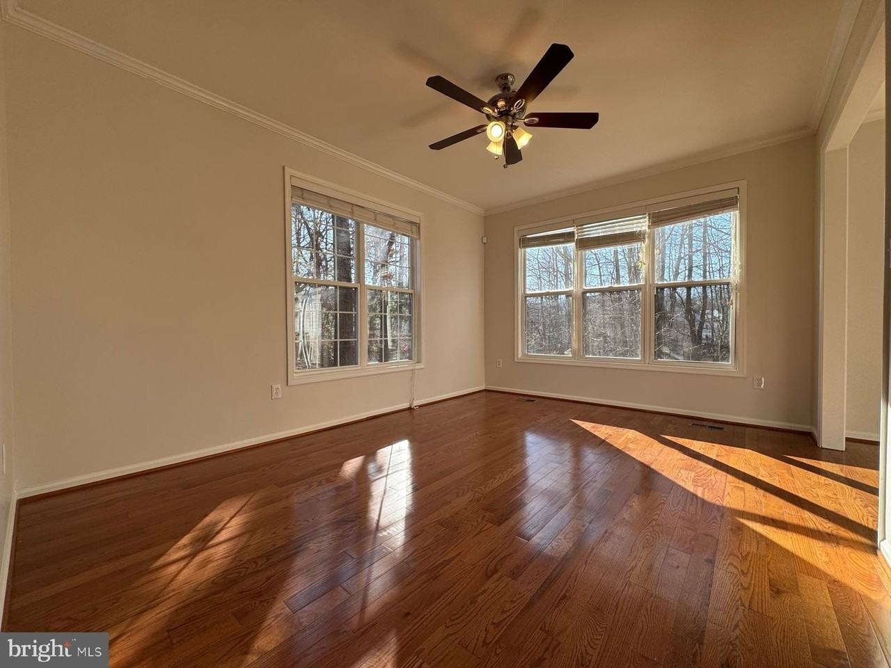 12219 Quintette Ln - Photo 4 of 17