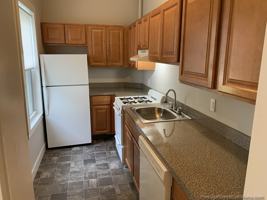 featured image of Walk Hill St