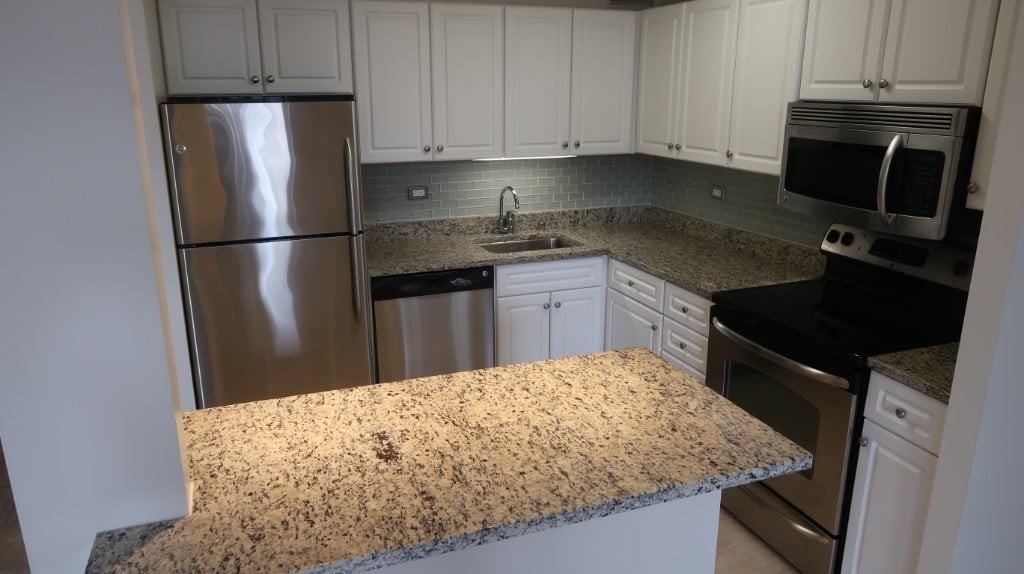 750 N Rush St #1805 - Photo 2 of 19