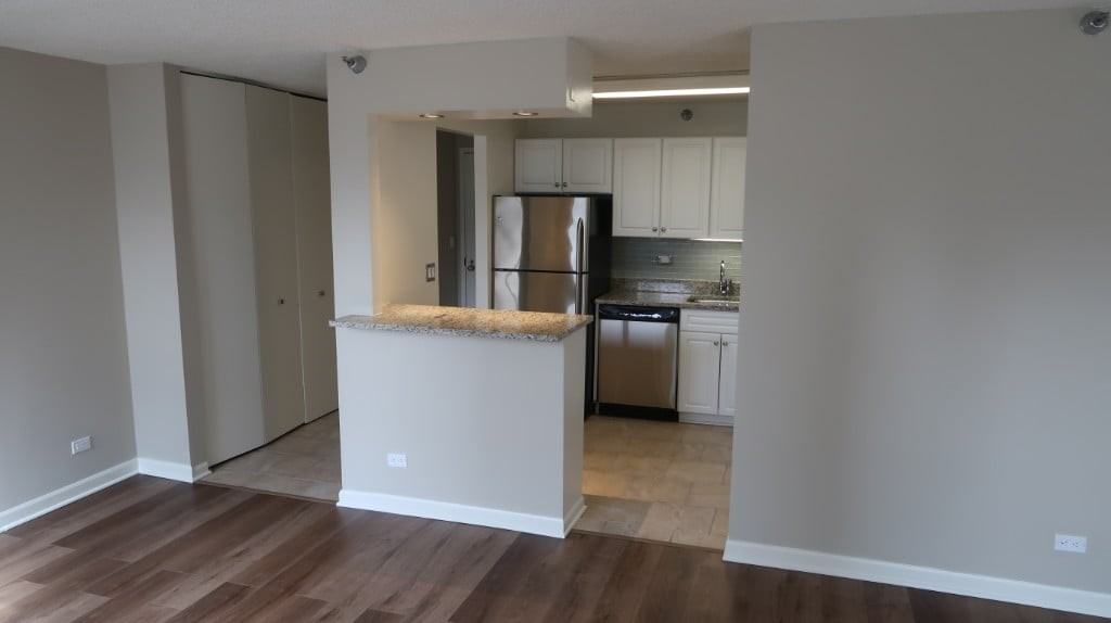 750 N Rush St #1805 - Photo 4 of 19